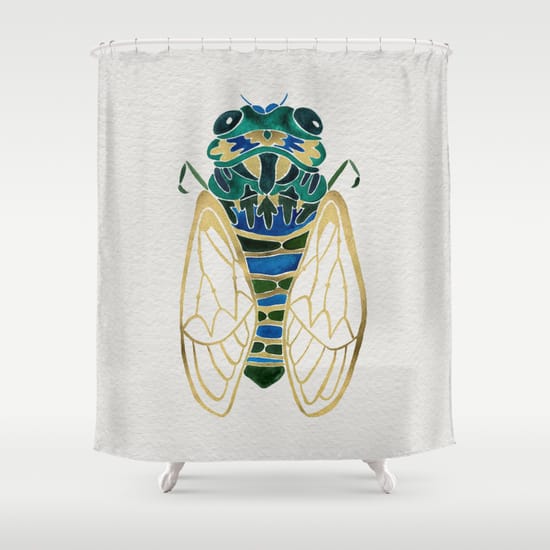 cicada curtain