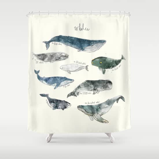 whale curtain